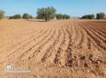 قطع ارض للبيع في عقارب-صفاقس Terrain à vendre Agareb-Sfax