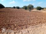 قطع ارض للبيع في عقارب-صفاقس Terrain à vendre Agareb-Sfax