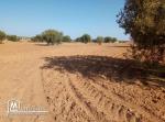 قطع ارض للبيع في عقارب-صفاقس Terrain à vendre Agareb-Sfax