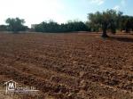 قطع ارض للبيع في عقارب-صفاقس Terrain à vendre Agareb-Sfax