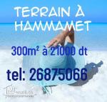 Terrain à hammamet  de 300 m² à 21000 dt