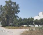 Terrain Nabeul -Plage Sidi Mahrsi 400m2