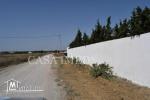 Terrain à hammamet prix 32 mille dt