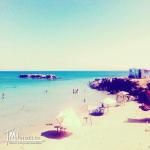 Des terrains a vendre à haouaria pour plus d'info 29232582