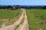 terrain vue sur mer à kerkouane /kélibia tél 26122779