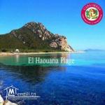 terrain vue sur mer à hawaria !!