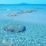 terrain a vendre à haouaria 29000