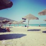 offre de vente un terrain à haouaria ratter pas cette offre contactez nous 29232861