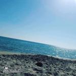 أرض للبيع في كركوان بسوم خيالي 29232861