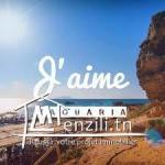 terrain a vendre à haouaria 29232861