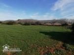 terrain à vendre prés de la plage l'haouria