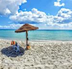 terrain à vendre avec un priiiix choc prés du mer