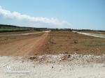 Terrain à haouaria plage