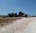 أراضي للبيع قريبة للبحر للإتصال 21364330