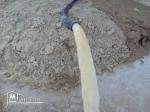 terrain agricole a vendre