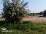 terrain agricole a vendre