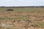 A vendre terrain a Hammamet