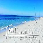 terrain cité dar allouch kélibia 200m a la plage