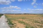 terrain a vendre 5 km de yassmin hammamet 192 m2 a 21.500 D