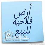 8 hectare à kalaa kbira titré route de haniya