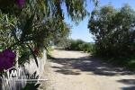 terrain à kerkouane 700 m de la plage