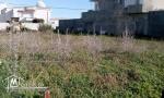 Un terrain constructible à Kélibia à bas prix