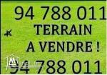 vente un Terrain d'une superficie de 710 M2 situé dans un lotissement à Chott meriem.