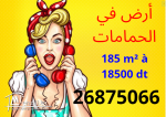 un beau Terrain de 185 m2  à hammamet sud