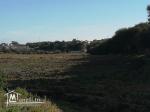 un terrain de 300 m2 à hwaria