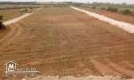 un terrain de 300 m2 à hwaria