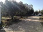 Terrain de 250m² à Hammamet Sud