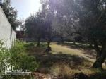 Terrain de 250m² à Hammamet Sud