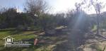 terrain en plein Soukra de 820 m2