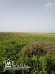 un terrain a borj touil