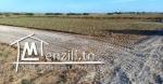 vente terrain cité tayeb mhiri el mhamdia ben arous