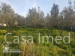 terrain à vendre à yakout el hamaoui la soukra