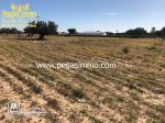 A vendre un terrain de 13 000 m² prés de Géant Midoun Djerba