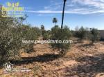 A vendre un terrain de 8500 m² à 3km De Midoun avec titre foncier