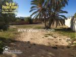A vendre un lot bien localisé dans la zone touristique Djerba / zone urbaine