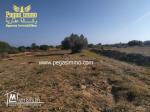 A vendre un terrain à Ben maaguel Midoun Djerba