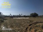 A vendre un terrain à Ben maaguel Midoun Djerba