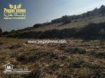 A vendre un terrain à Ben maaguel Midoun Djerba