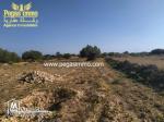 A vendre un terrain à Ben maaguel Midoun Djerba