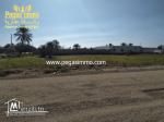 A vendre un terrain avec titre foncier prés de la zone touristique Djerba