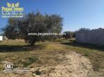 A vendre terrain /zone urbaine