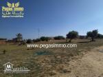 A vendre un terrain prés de Bourgo Mall Géant Djerba