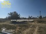 A vendre un terrain près de Djerba Golf Club / zone touristique Djerba