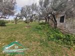terrain agricole 7200 m² à wed el khatef kelibia