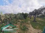 terrain agricole 7200 m² à wed el khatef kelibia