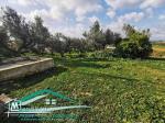 terrain agricole 7200 m² à wed el khatef kelibia